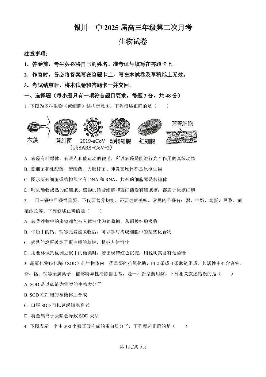 宁夏回族自治区银川一中2024-2025学年高三上学期第二次月考 生物试卷（含答案）第1页