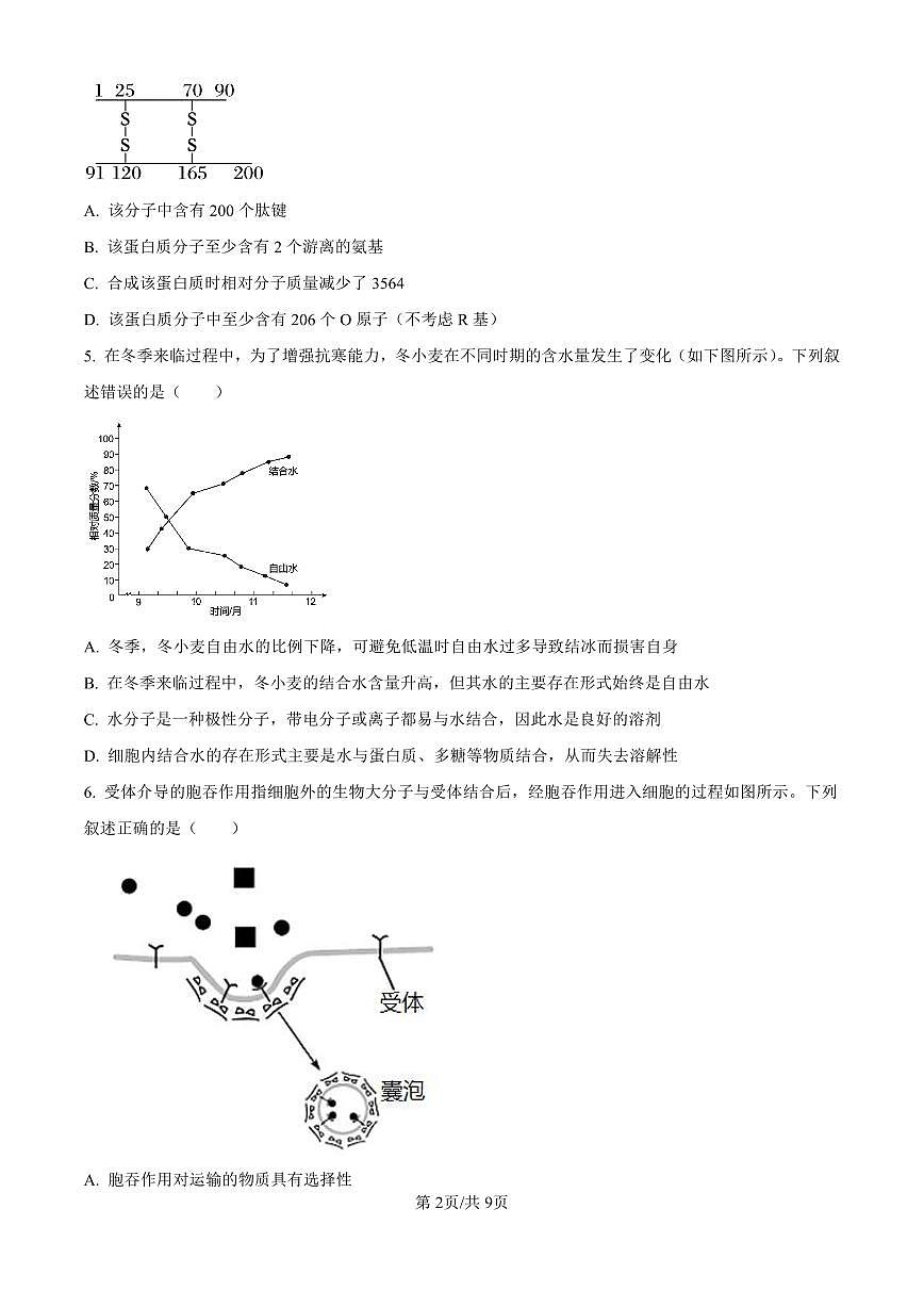 宁夏回族自治区银川一中2024-2025学年高三上学期第二次月考 生物试卷（含答案）第2页