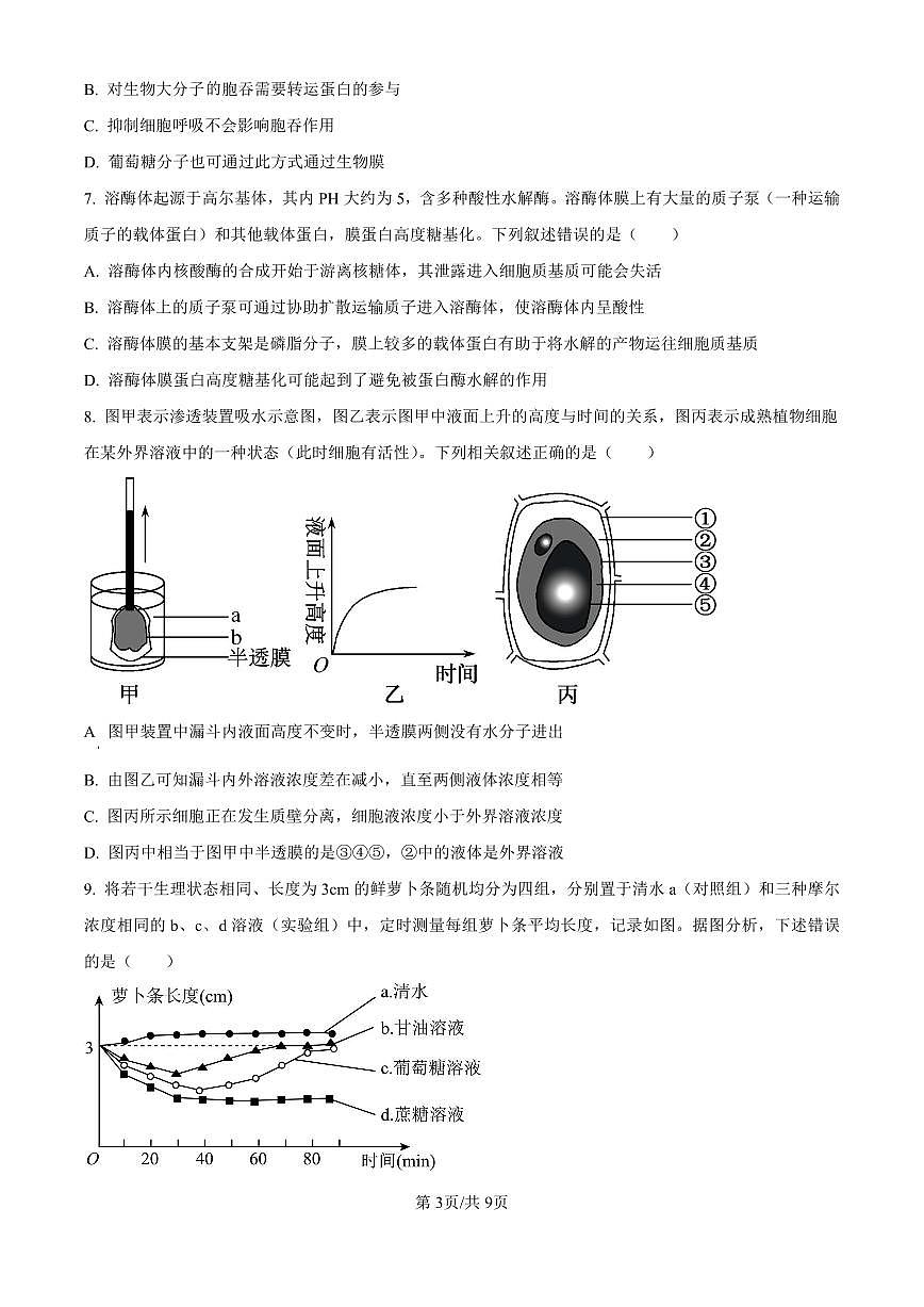 宁夏回族自治区银川一中2024-2025学年高三上学期第二次月考 生物试卷（含答案）第3页