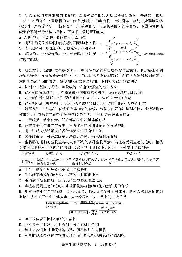 2025届辽宁省丹东市高三总复习质量差测试生物试卷（二）（高考模拟）第2页