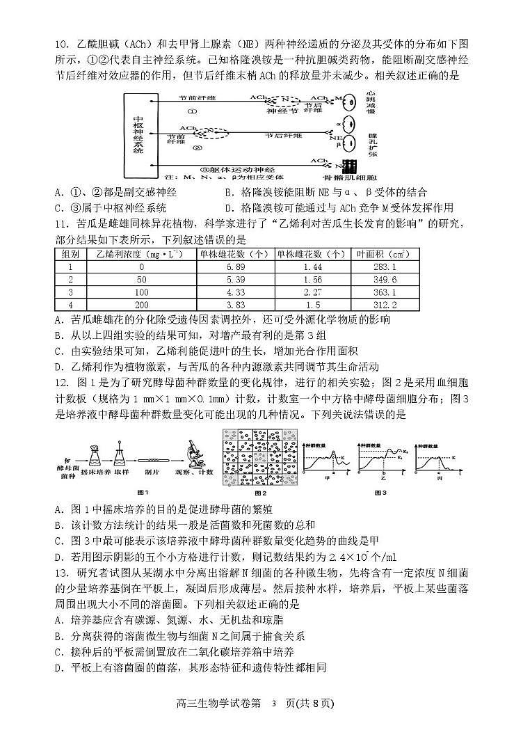 2025届辽宁省丹东市高三总复习质量差测试生物试卷（二）（高考模拟）第3页