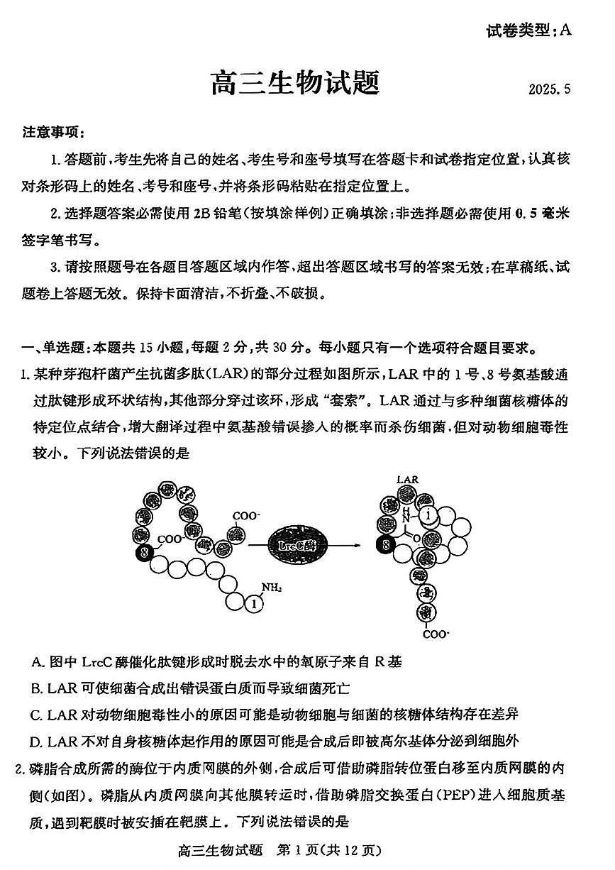 2025届山东省滨州市高三下学期第二次模拟考试生物试卷（高考模拟）第1页