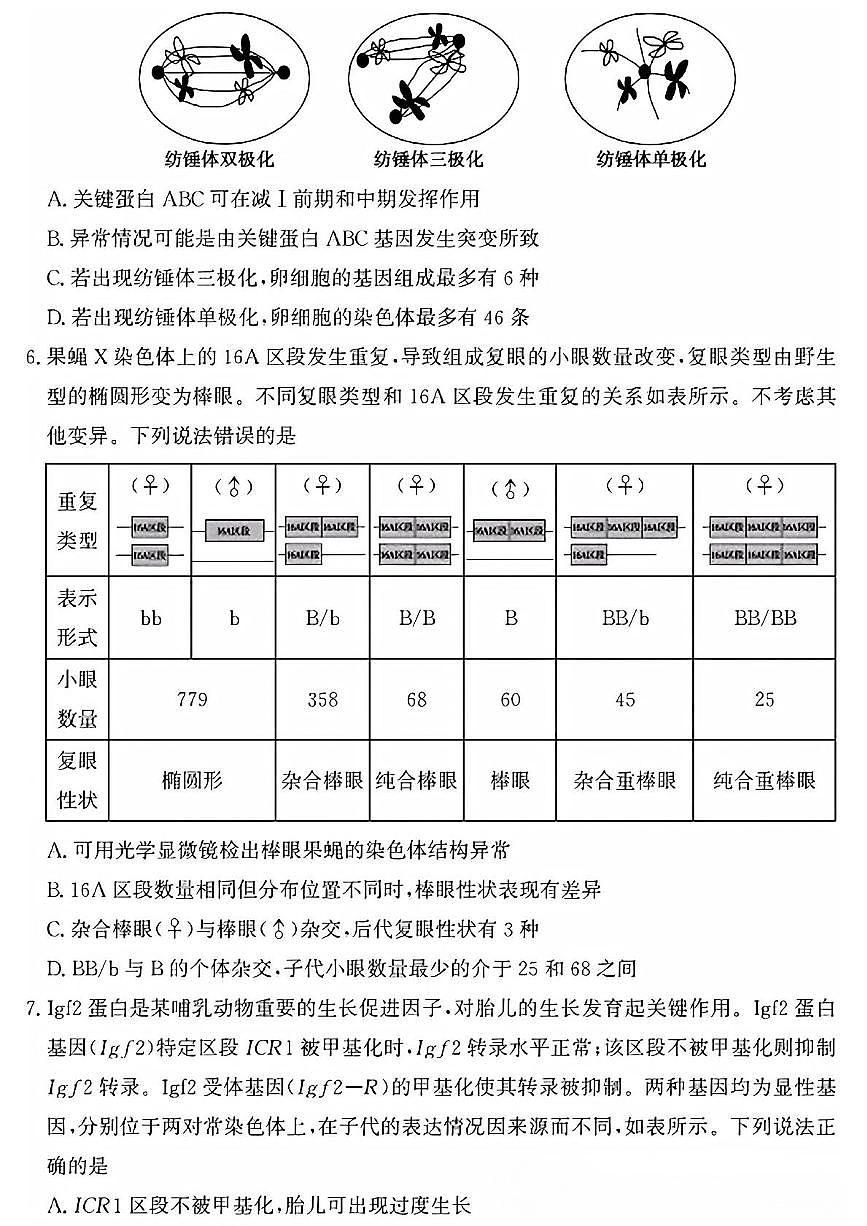 2025届山东省滨州市高三下学期第二次模拟考试生物试卷（高考模拟）第3页