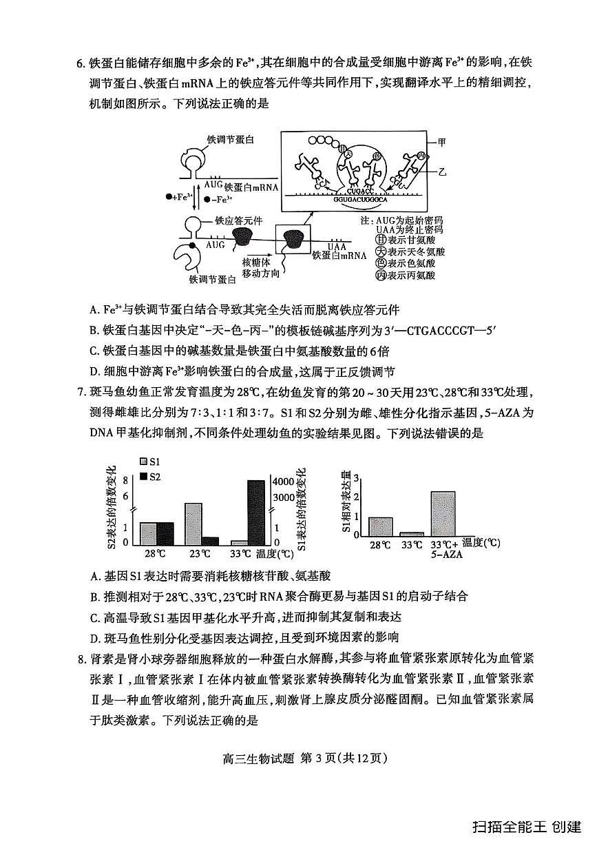 2025届山东省泰安市高三下学期5月四模检测生物试题（高考模拟）第3页