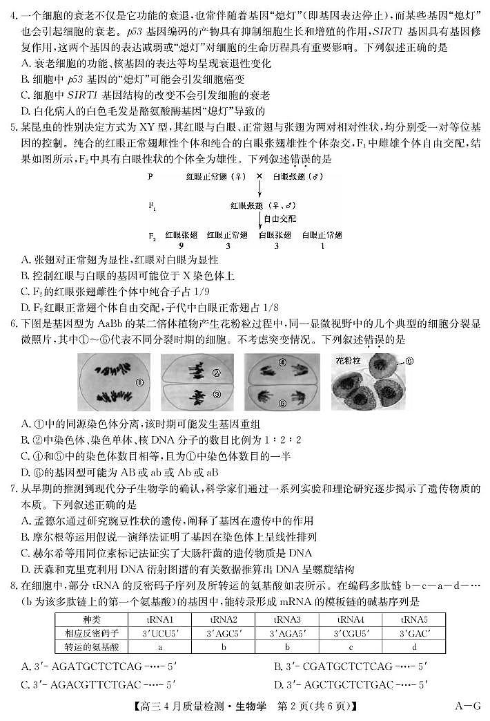 2025届四川省九师联盟高三下学期4月仿真模拟卷生物试卷（高考模拟）第2页