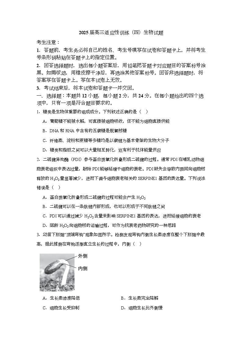 湖南省衡阳市八中2025届高三下学期适应性训练（四）生物试卷（Word版附答案）第1页
