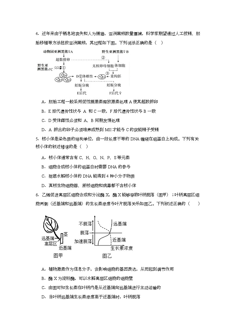 湖南省衡阳市八中2025届高三下学期适应性训练（四）生物试卷（Word版附答案）第2页
