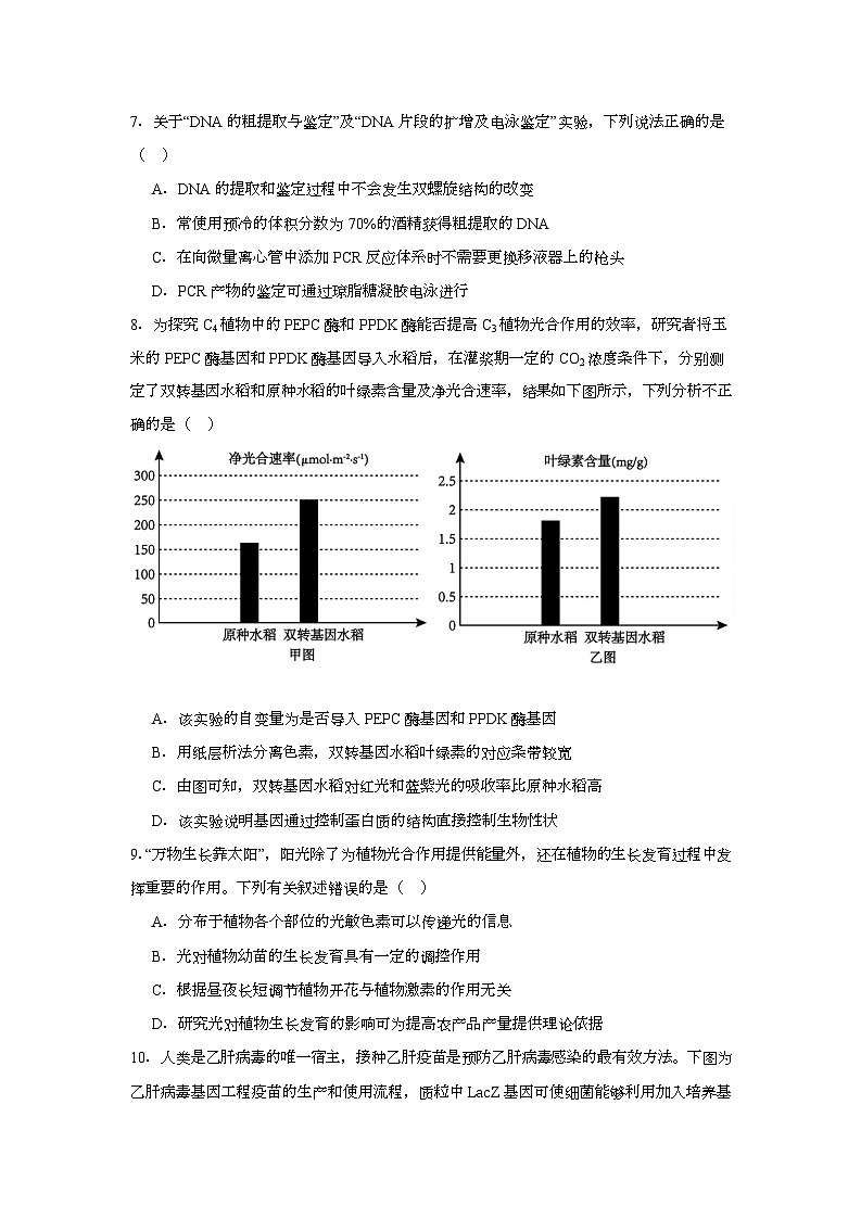 湖南省衡阳市八中2025届高三下学期适应性训练（四）生物试卷（Word版附答案）第3页