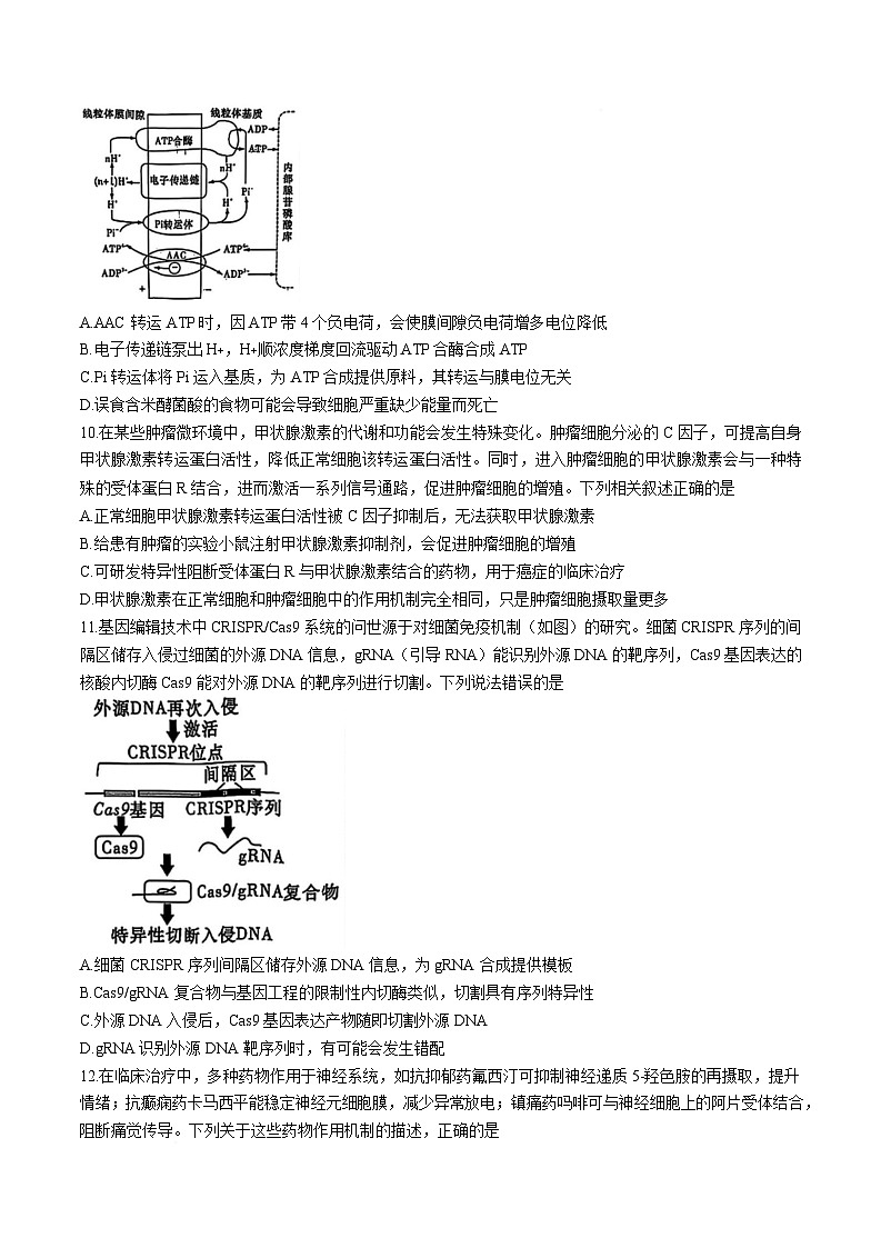 湖南省名校联考联合体2025届高三下学期考前仿真模拟联考（一）生物试卷（Word版附解析）第3页