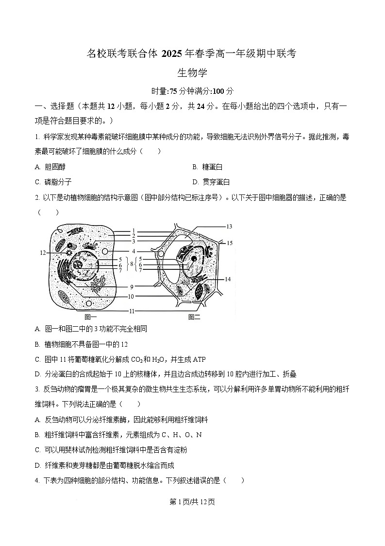 湖南省名校联考联合体2024-2025学年高一下学期期中考试生物试卷（Word版附答案）.第1页