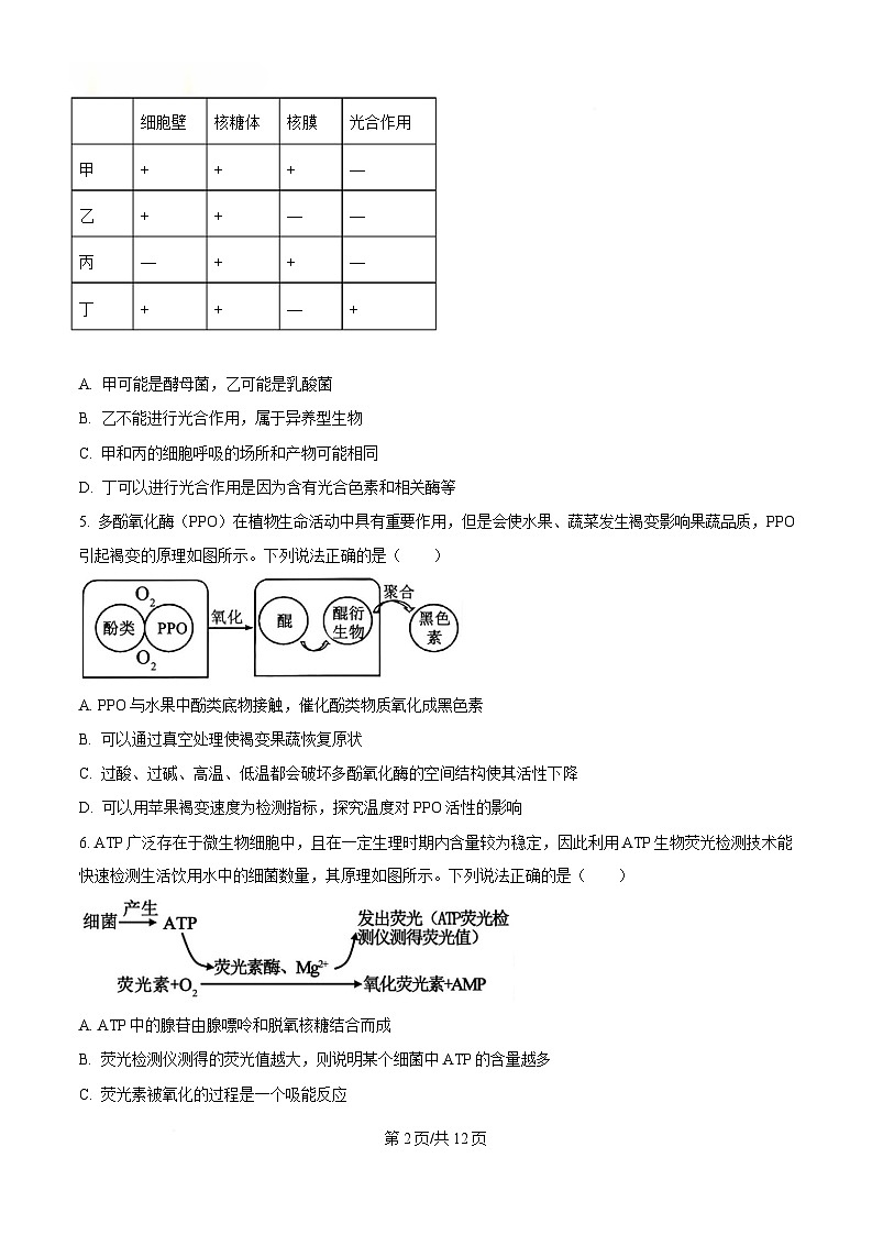 湖南省名校联考联合体2024-2025学年高一下学期期中考试生物试卷（Word版附答案）.第2页