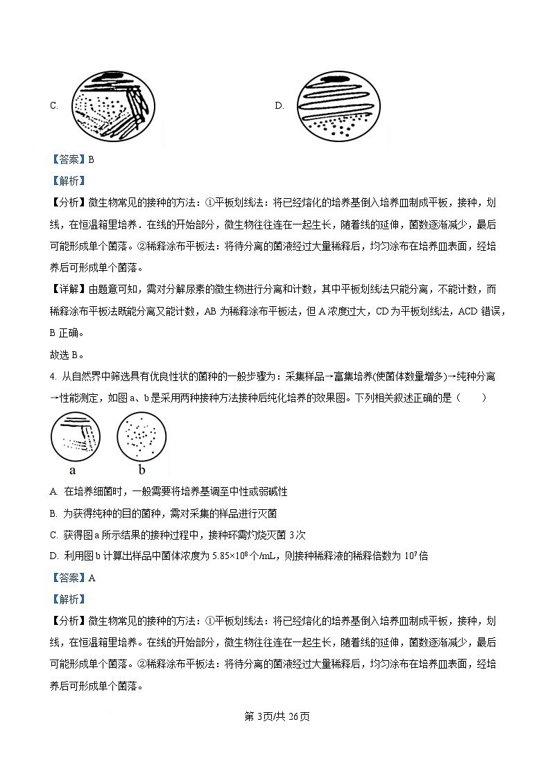 内蒙古自治区赤峰市红山区赤峰第四中学2024-2025学年高二下学期4月月考生物试题  Word版含解析第3页