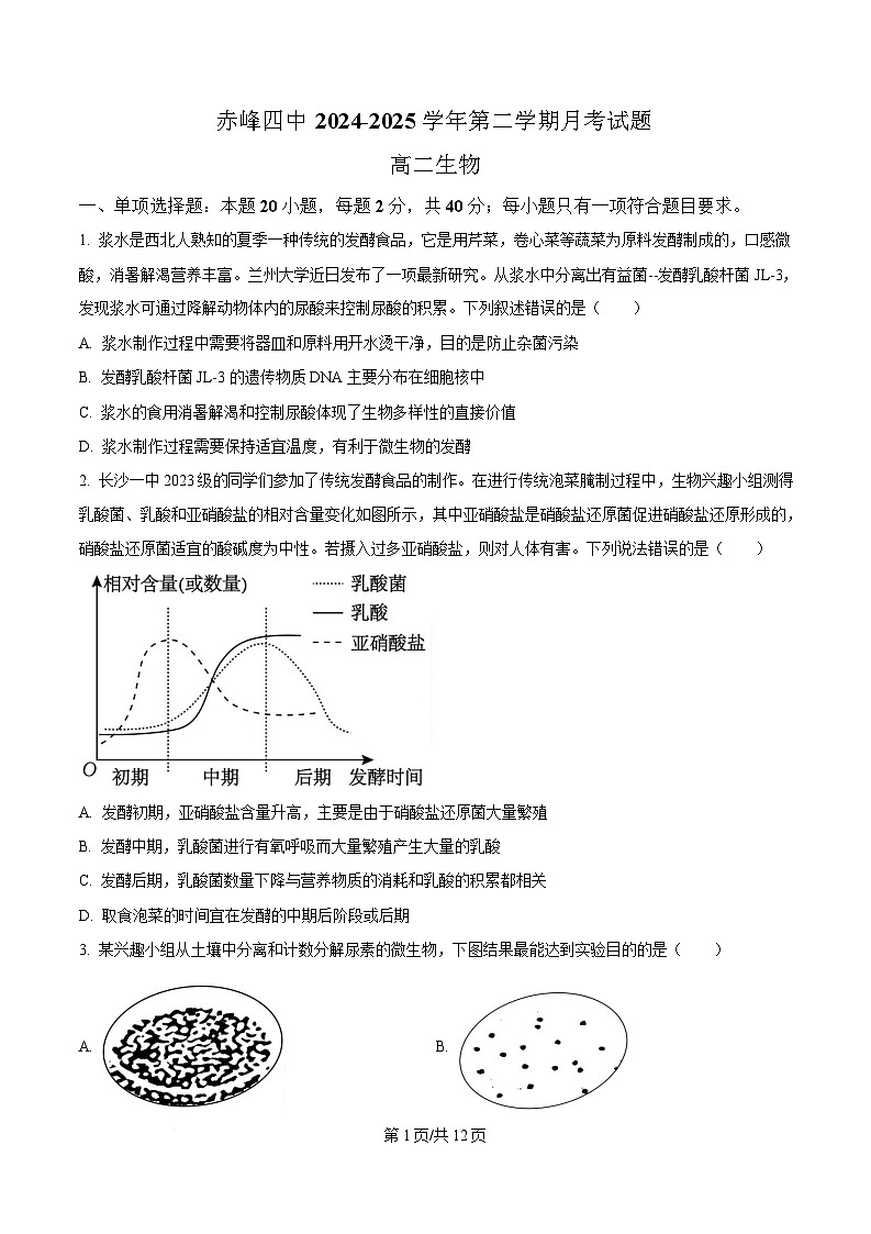 内蒙古自治区赤峰市红山区赤峰第四中学2024-2025学年高二下学期4月月考生物试题  Word版无答案第1页