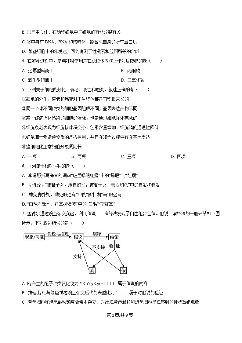 内蒙古自治区通辽市科尔沁区通辽市第一中学2024-2025学年高一下学期3月月考生物试题 Word版无答案第2页