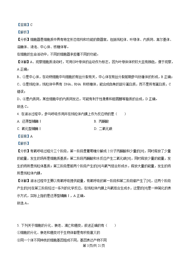 内蒙古自治区通辽市科尔沁区通辽市第一中学2024-2025学年高一下学期3月月考生物试题 Word版含解析第3页