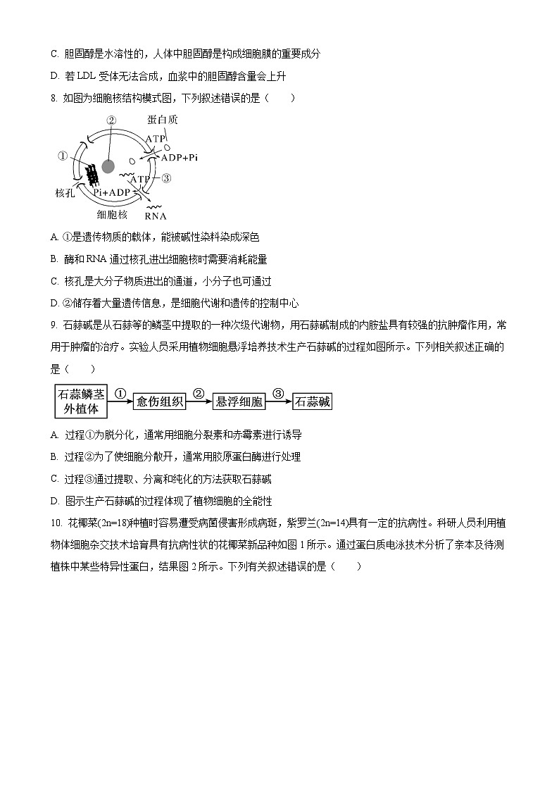 江苏省徐州市第三中学2024-2025学年高二下学期期中考试生物试题（原卷版+解析版）第3页