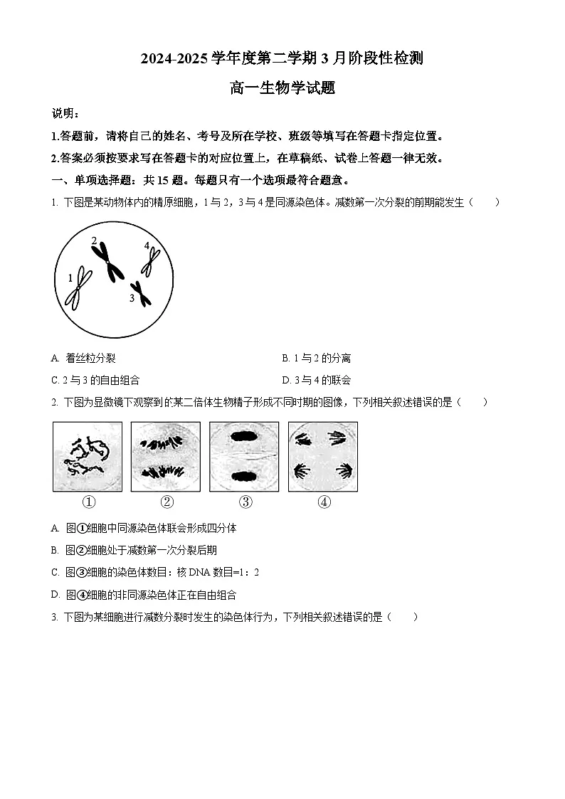 江苏省徐州市邳州市毓秀高级中学2024--2025学年高一下学期3月月考生物试卷（原卷版+解析版）第1页