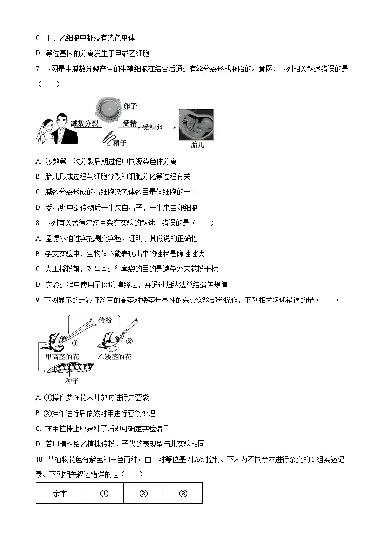 江苏省徐州市邳州市毓秀高级中学2024--2025学年高一下学期3月月考生物试卷（原卷版+解析版）第3页
