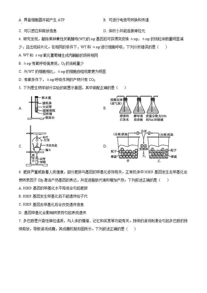 江西省2025届高三下学期4月联考生物试题（原卷版+解析版）第2页