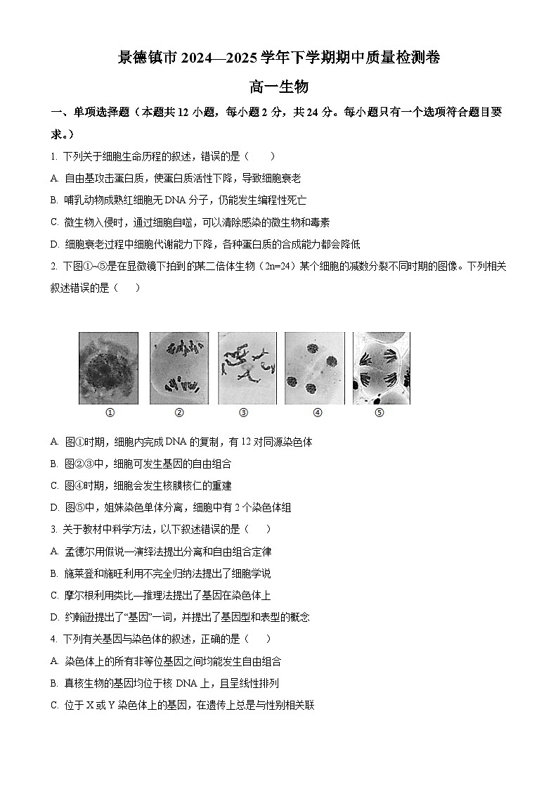 江西省景德镇市2024-2025学年高一下学期4月期中生物试题（原卷版+解析版）第1页