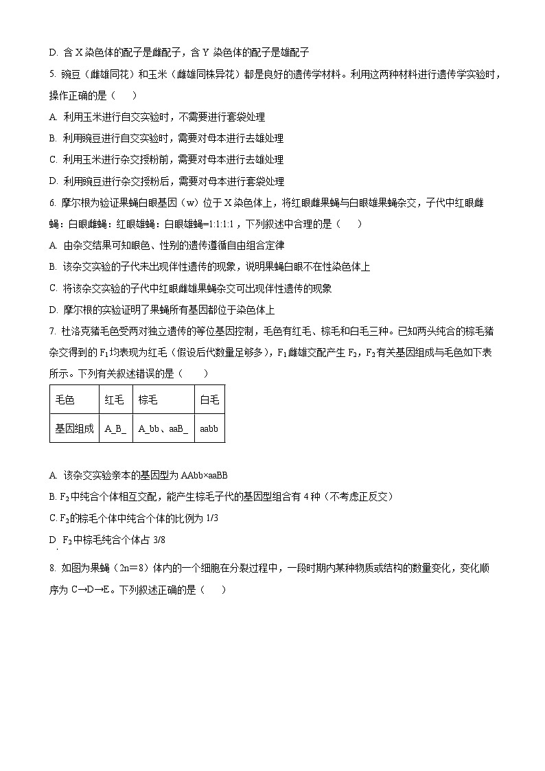 江西省景德镇市2024-2025学年高一下学期4月期中生物试题（原卷版+解析版）第2页
