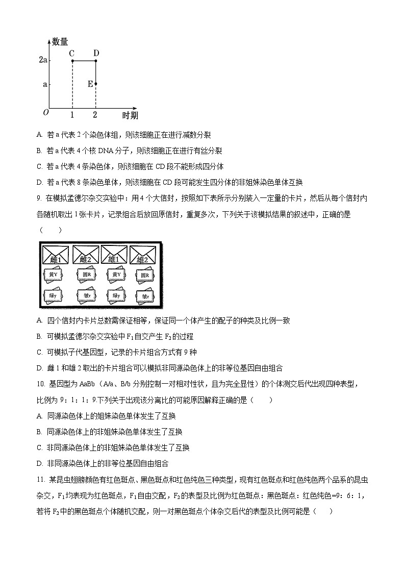 江西省景德镇市2024-2025学年高一下学期4月期中生物试题（原卷版+解析版）第3页