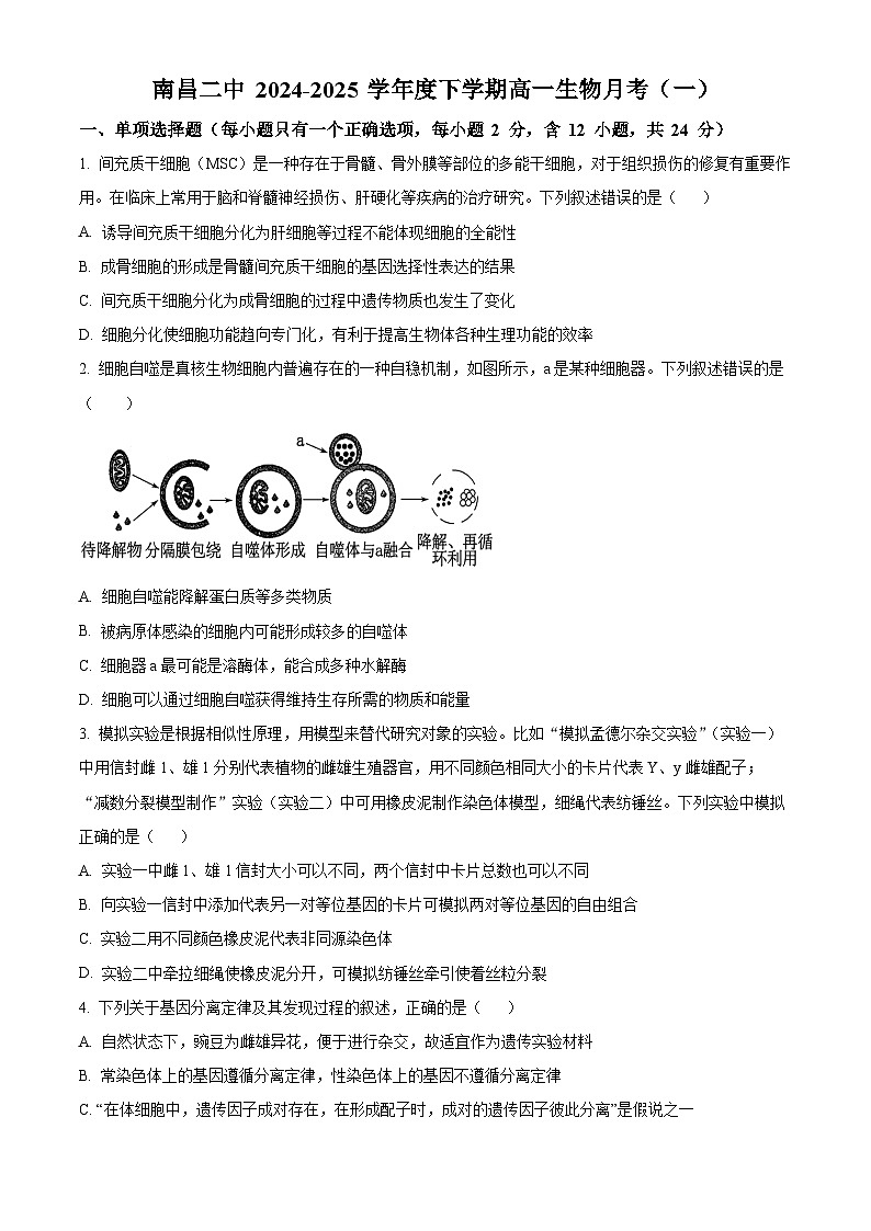 江西省南昌市第二中学2024-2025学年高一下学期3月月考生物试题（原卷版+解析版）第1页