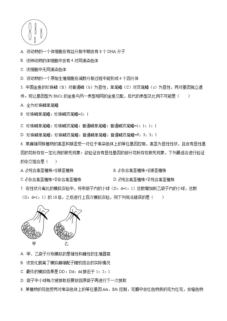 江西省南昌中学2024-2025学年高一下学期3月月考生物试题（原卷版+解析版）第2页