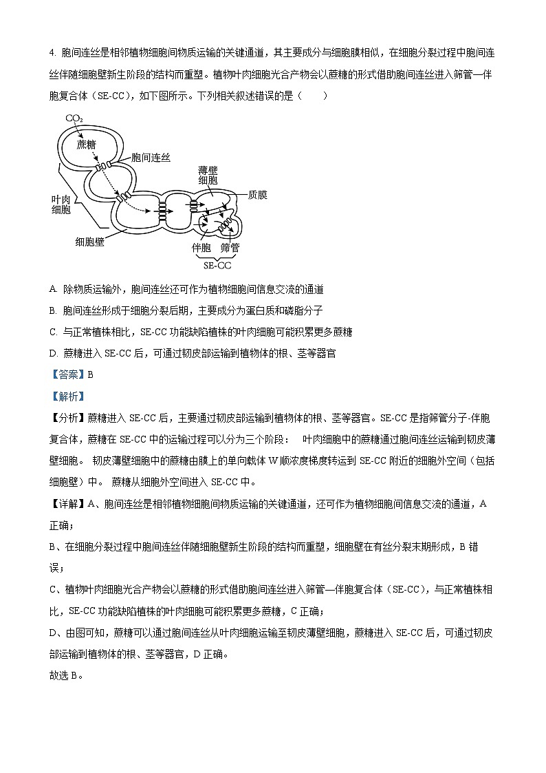 湖南省永州市2025届高三下学期三模生物试题 含解析第3页