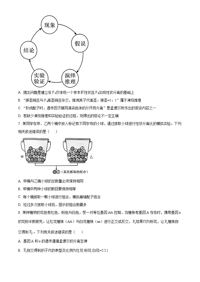 辽宁省部分学校2024-2025学年高一下学期4月月考生物学试卷（原卷版+解析版）第3页