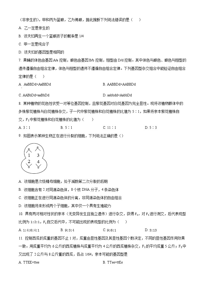辽宁省实验中学2024-2025学年高一下学期4月月考生物试题（原卷版+解析版）第2页
