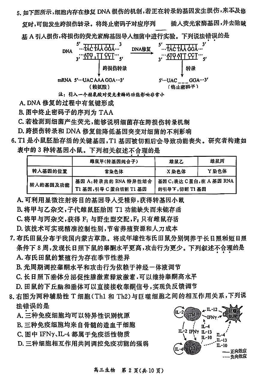 2025北京东城高三二模[高考模拟]生物试卷第2页