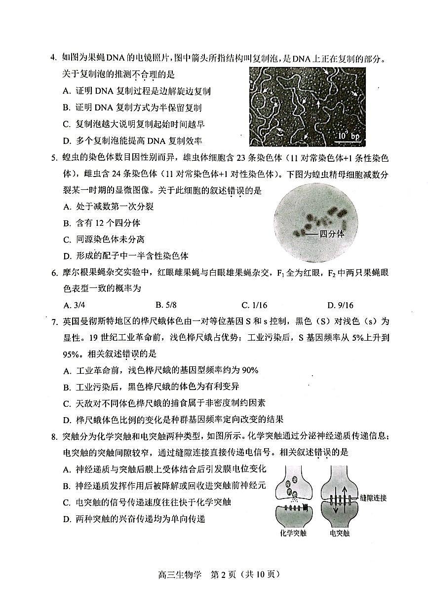 2025北京丰台高三二模[高考模拟]生物试卷第2页