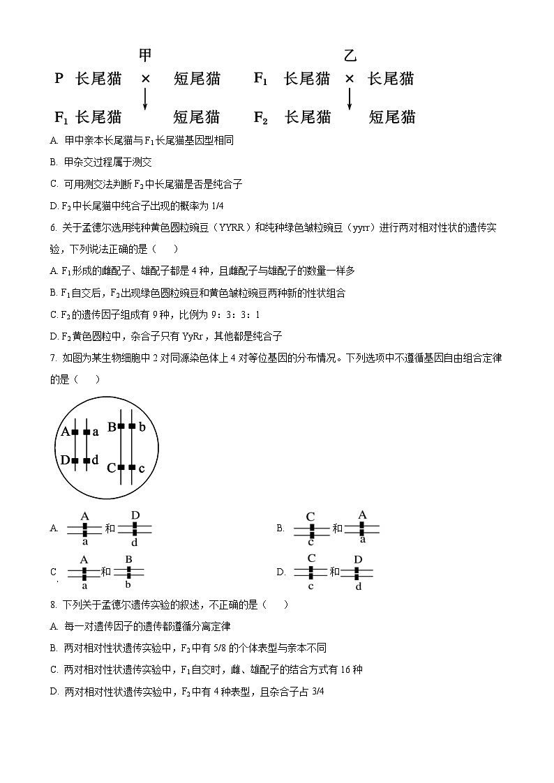 宁夏回族自治区银川一中2024-2025学年高一下学期第一次月考生物试卷（原卷版+解析版）第2页