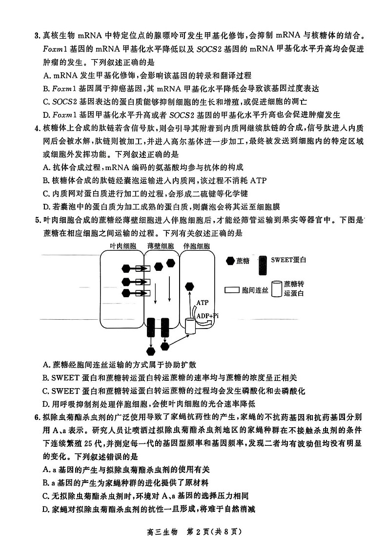 2025届河北省高三大数据9月应用调研联合测评（Ⅰ）-生物试题（含答案）第2页