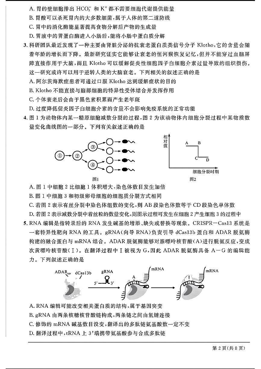 2024天域全国名校协作体高三3月联考-生物试卷（含答案）第2页