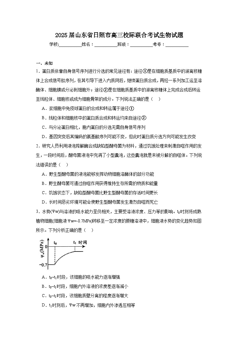 2025届山东省日照市高三校际联合考试生物试题（无答案）第1页