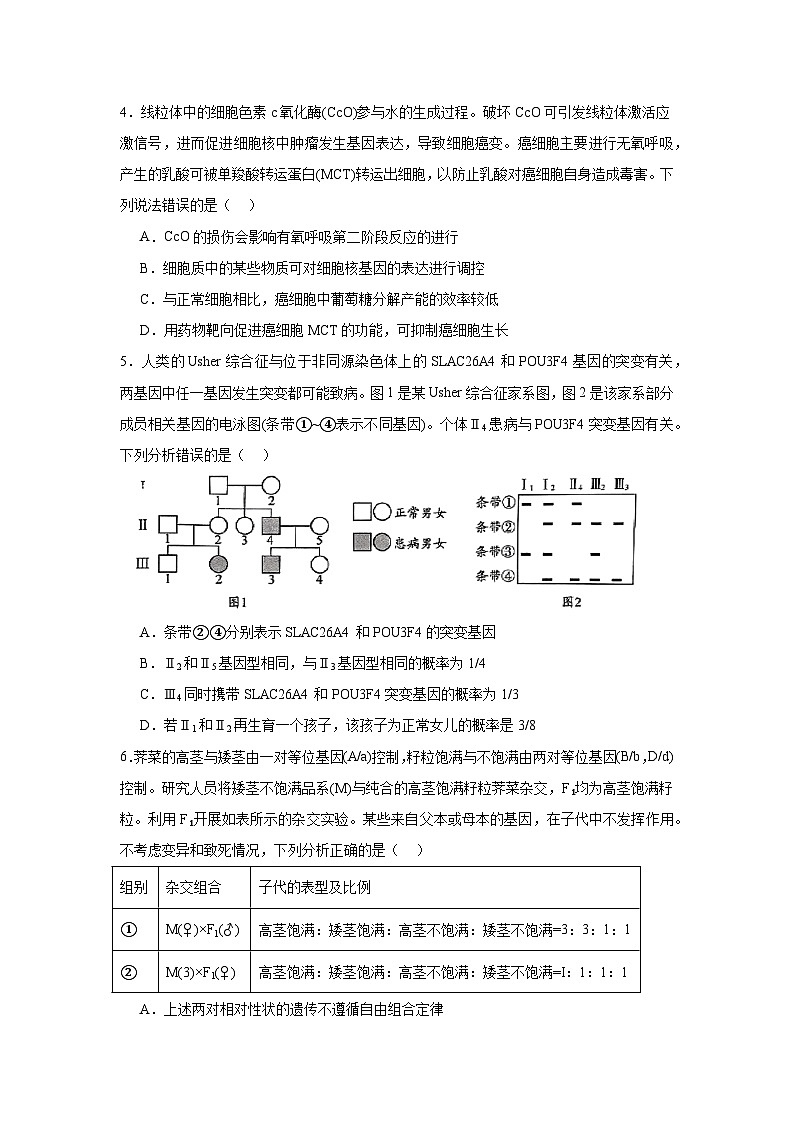 2025届山东省日照市高三校际联合考试生物试题（无答案）第2页
