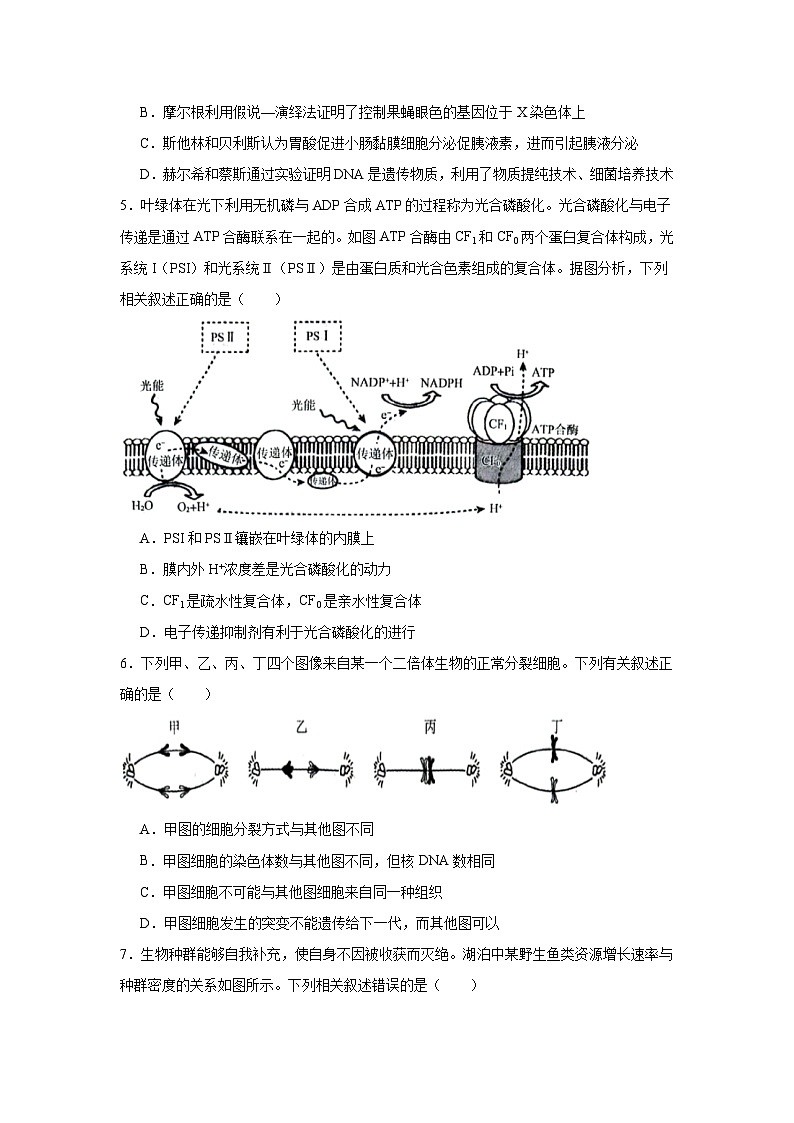 2025届辽宁省名校联盟高三5月联合考试生物试题（无答案）第2页