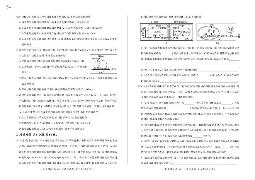 百师联盟2025届高三一轮复习联考（二）生物试题（含答案）第3页