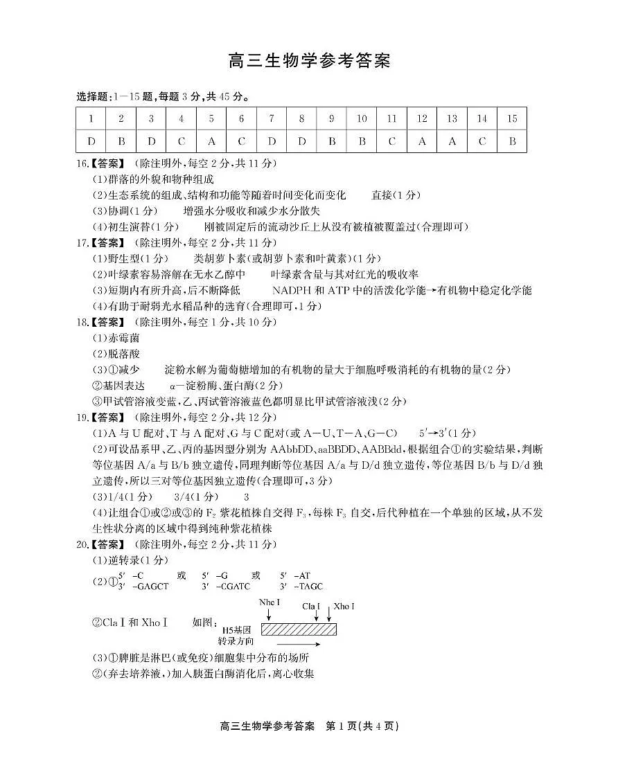 参考答案第1页