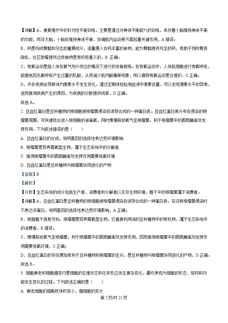 2025届湖北省武汉市高三4月调考生物试题 Word版含解析第2页