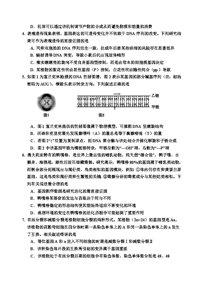 吉林省吉林市2024-2025学年高三下学期4月四模试题 生物 含答案第2页