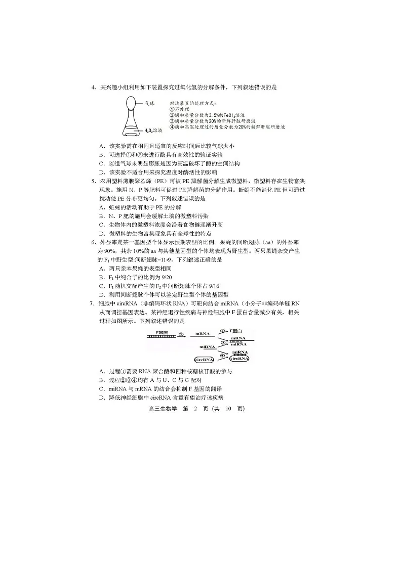 沈阳市2025届高三5月高考三模考试生物试卷含答案第2页