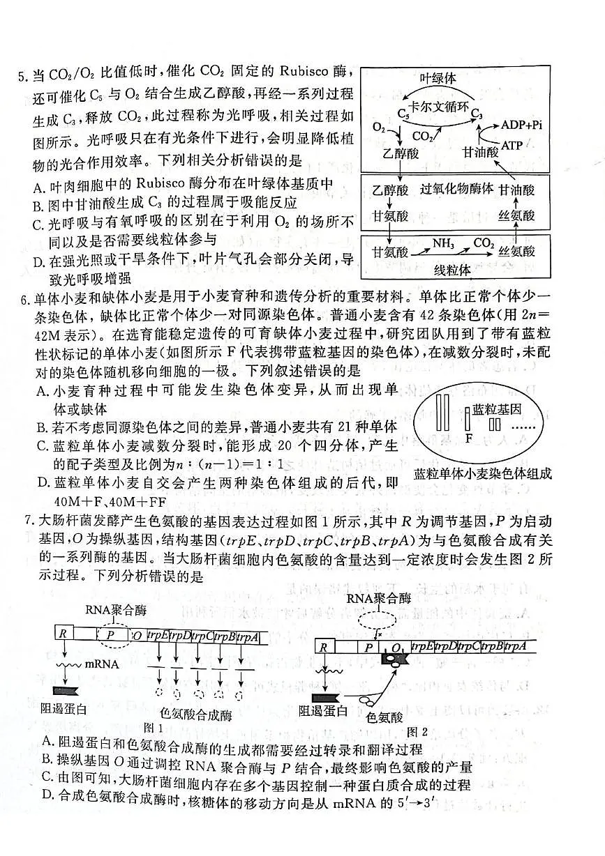 2025届山西省吕梁市高三第三次模拟考试生物试题（扫描版含答案）第2页