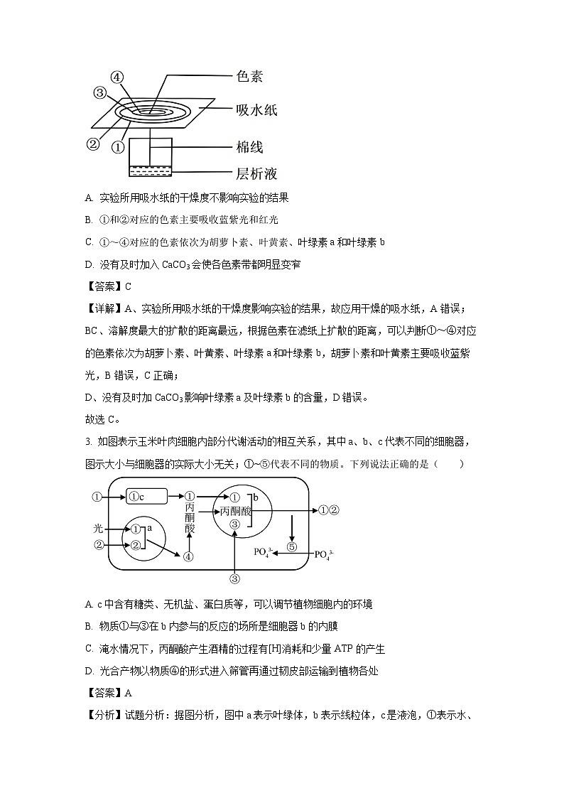 江西省新余市2023-2024学年高一下学期期末质量检测生物试题（解析版）第2页