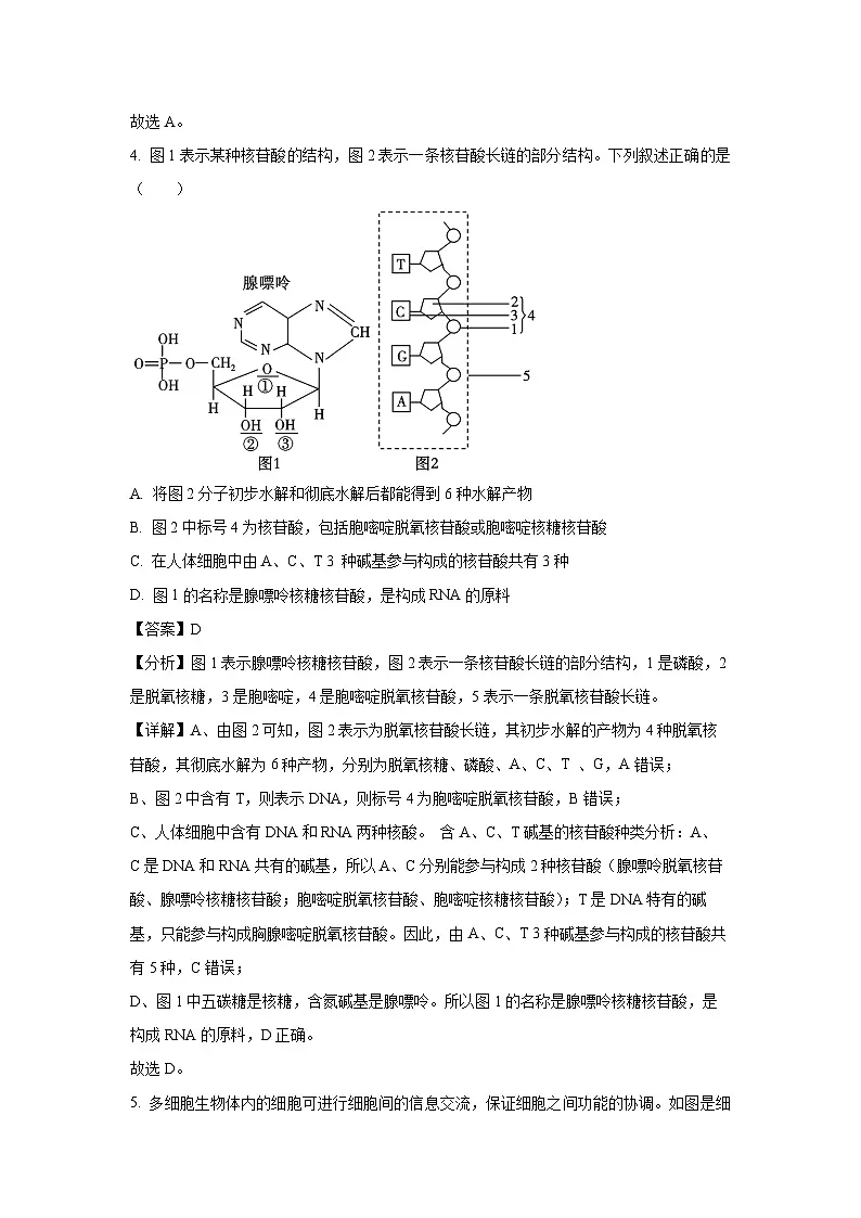云南省昭通市镇雄县三校2024-2025学年高一下学期第一次月考生物试题（解析版）第3页