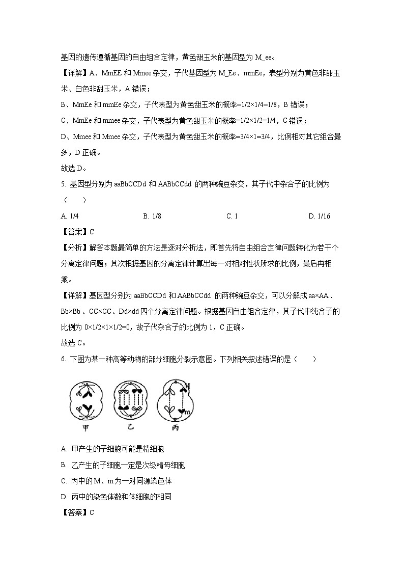 山西省临汾市部分学校2024-2025学年高一下学期第一次月考生物试题（解析版）第3页
