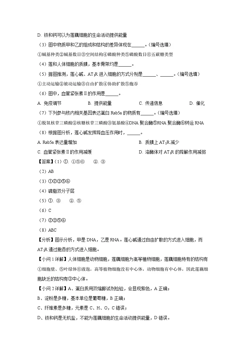 上海市闵行区2024-2025学年高二下学期4月期中考试生物（解析版）第2页