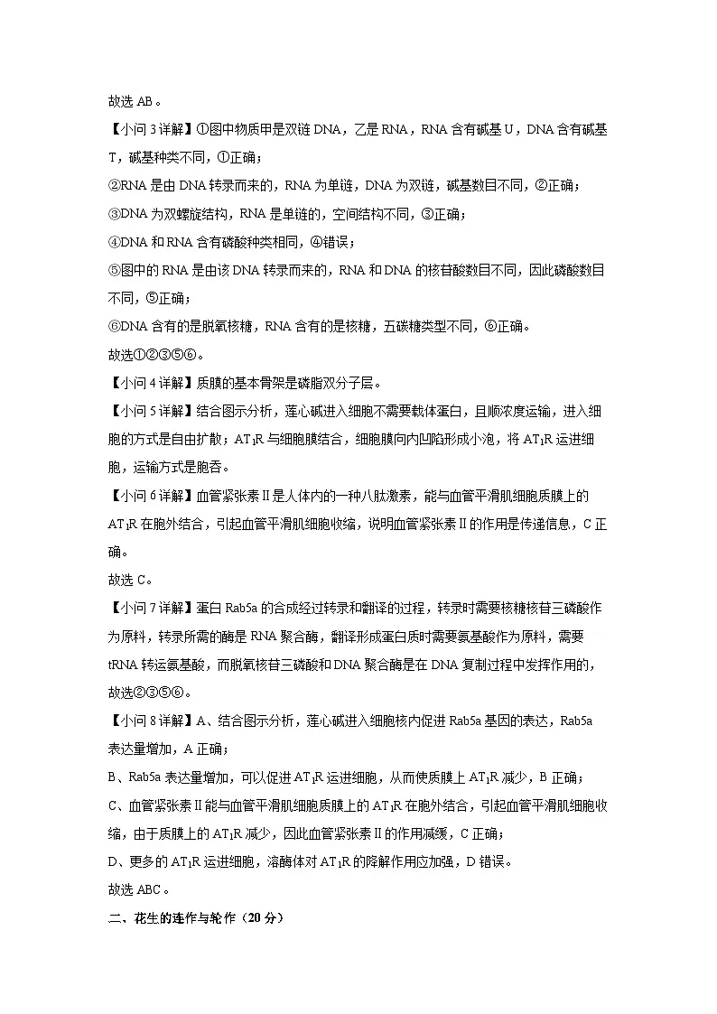 上海市闵行区2024-2025学年高二下学期4月期中考试生物（解析版）第3页
